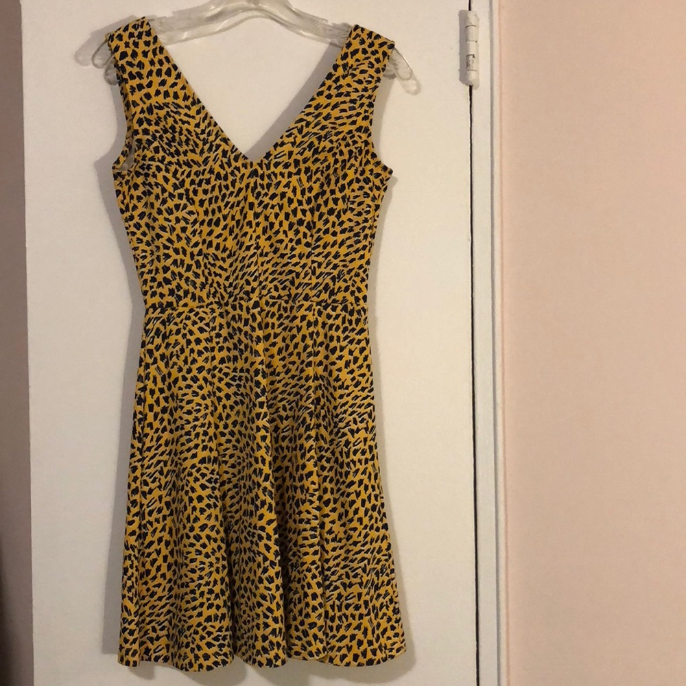 Skater Dress